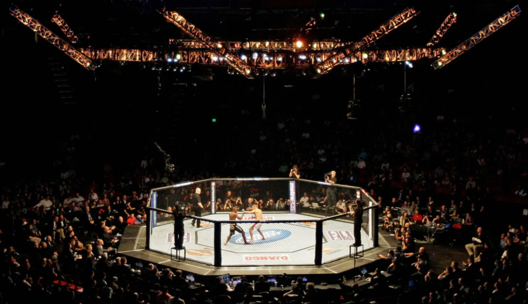 combat de mma